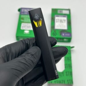 Stiiizy 1G Disposable