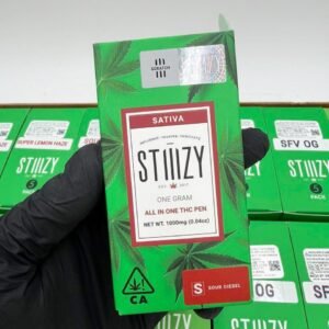 Stiiizy 1G Disposable