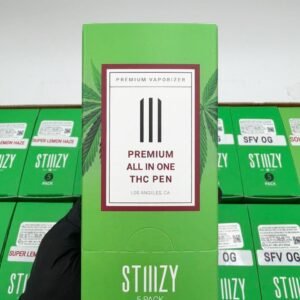 Stiiizy 1G Disposable