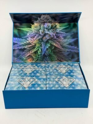 Clean Carts 2G Disposable Winter Edition