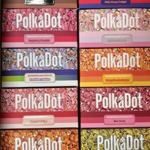 Polkadot Mushroom Belgian Chocolate