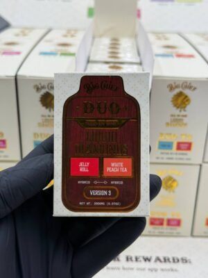 Big Chief Duo V3 2G Disposable