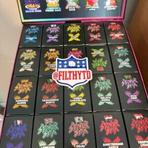 Stoner Stix World Tour 2G Disposable