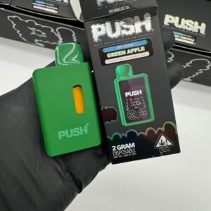 New Push 2G Disposable With Screen