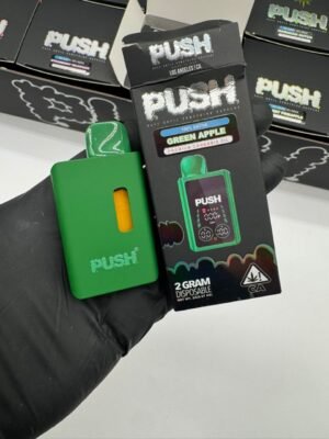 New Push 2G Disposable With Screen