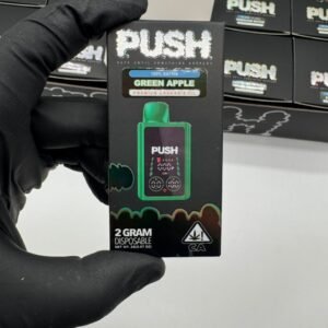 New Push 2G Disposable With Screen