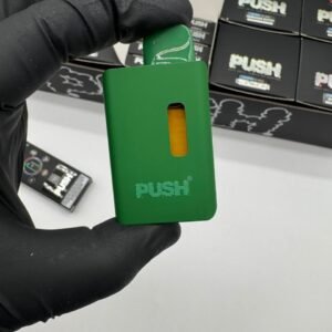 New Push 2G Disposable With Screen