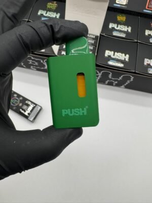 New Push 2G Disposable With Screen