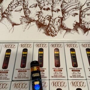 Hitz Zeus 2G Disposable