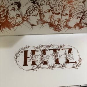 Hitz Zeus 2G Disposable